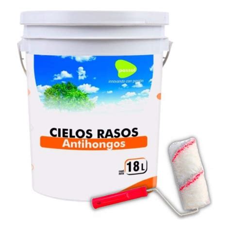 Pintura Cielos Rasos Antihongos Ah Passol Lt Rodillo Mundocolor