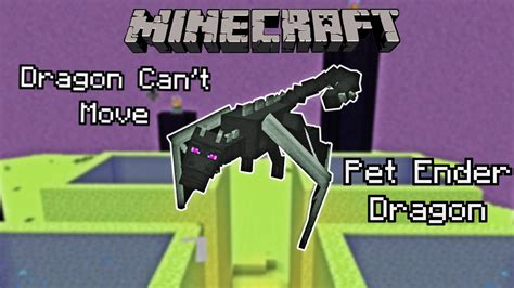 How To Trap The Ender Dragon In 100 Survival Minecraft Simple 120tutorial Pexboxpspc