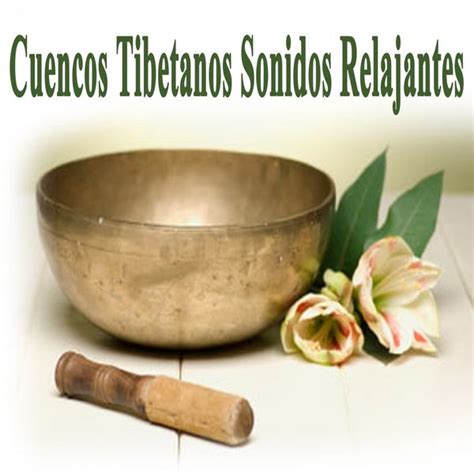 Cuencos Tibetanos Sonidos Relajantes Con Agua Dormir Meditación