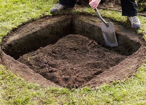 Planting Trees In Square Holes Makes Them Grow Stronger And Faster