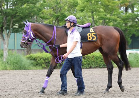 コンバスチョン得意舞台で能力全開だ 伊藤圭師「順調」／ユニコーンs 競馬写真ニュース 日刊スポーツ