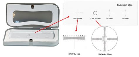 Micro Tec Glass Calibration Slides For Light Microscopy