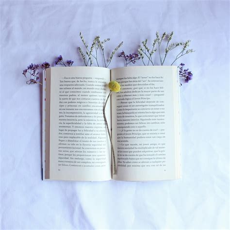 Open Book with Flowers · Free Stock Photo