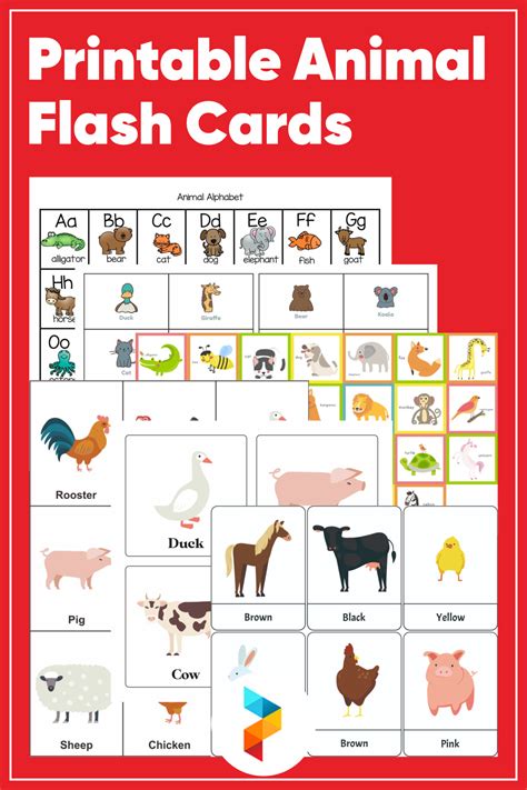 Animal Flash Cards - 10 Free PDF Printables | Printablee