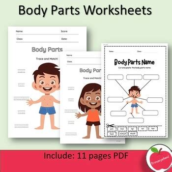 Human Body Parts-Label Worksheets-Activities by Primarystem | TPT