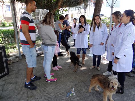 Prefeitura Promove Campanha De Ado O De Animais Do Canil Municipal