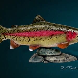 Rainbow Trout Sculpture Carved Fish Casting Flyfishing Etsy