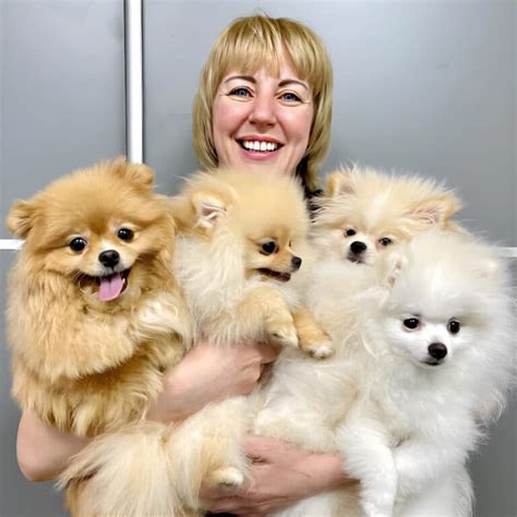 Салон краси для собак і котів - V.O.G DOG SALON