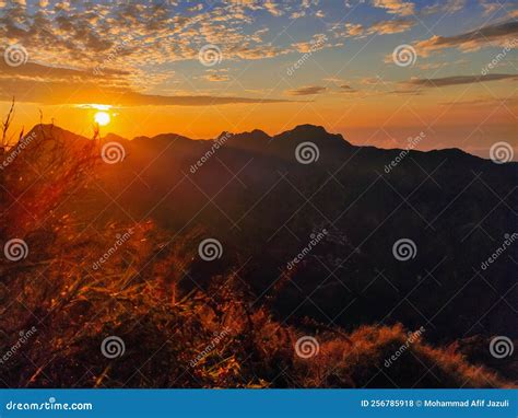 Golden Sunrise at the Top of Muria Mountain Stock Photo - Image of ...