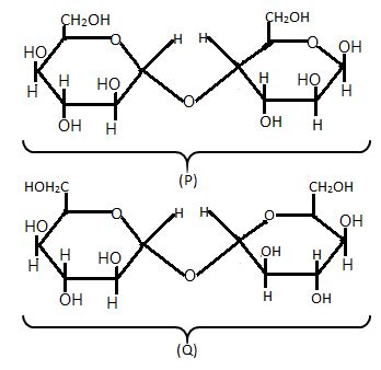 Disaccharides | Function, Structure & Examples Of Disaccharides | Chemistry | Byju's