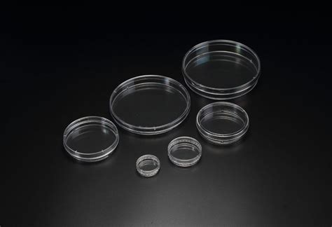 Spl Tissue Culture Dish Tc Treated Biolab