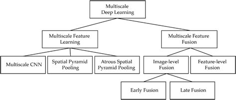 The Primary Taxonomy Of Multiscale Deep Learning Architecture Used In