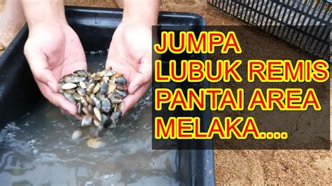 Cari Remis Di Kuala Sungai Baru Pantai Melaka Youtube