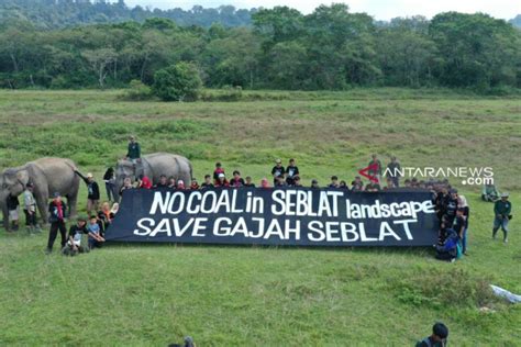 Aktivis Bentangkan Spanduk Tolak Tambang Di Habitat Gajah Bengkulu