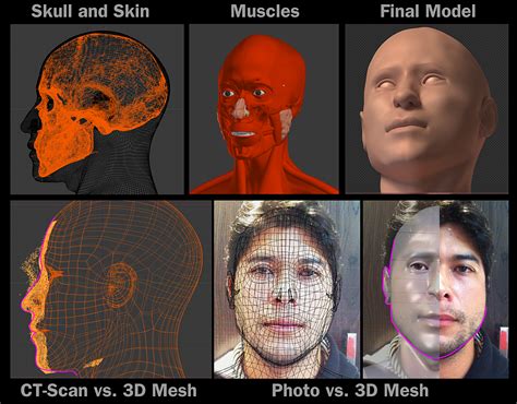 Reconstru O Facial Forense De Uma Pessoa Viva Software Livre