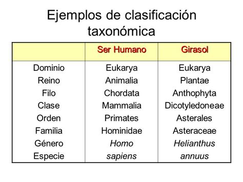 Taxonom A Ccias Naturales I E Corvide