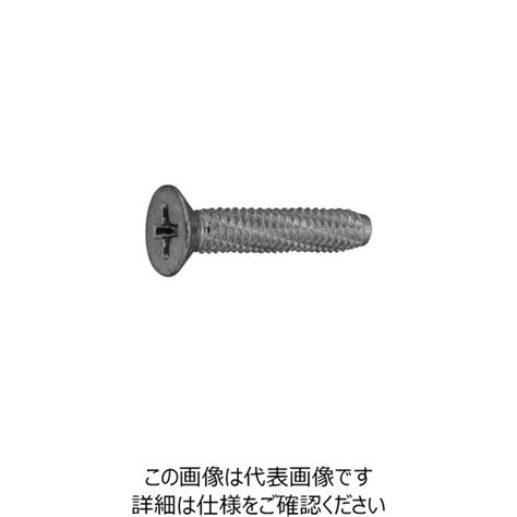 ファスニング J 3カーw 鉄 ダイヤスクリュー（）皿 4 X 16 300045010040016003 1箱（1500個）（直送品