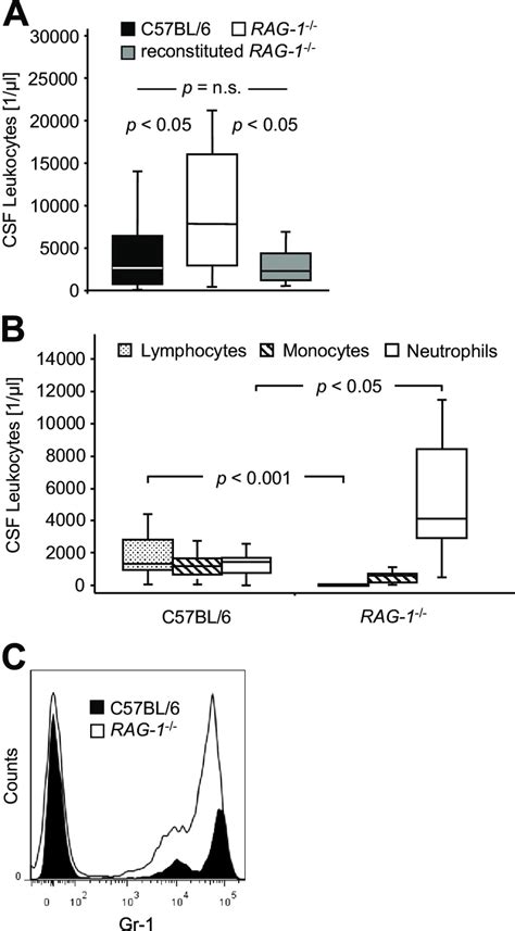 Impact of RAG-1 deficiency (RAG-1 / ) on leukocyte populations in the ...