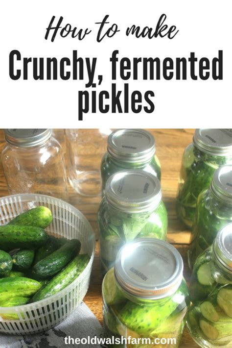 How To Make Crunchy Lacto Fermented Pickles Artofit