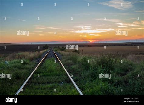 Wildlife Light Amazing Meadow Green Background Clean Colorful