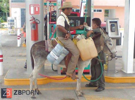 HAN DE COGER RIQUISIMO ZB Porn