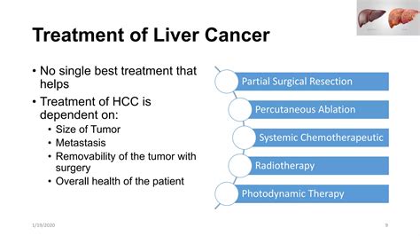 Liver Cancer Epidemiology Etiology Prognosis And Treatment Ppt