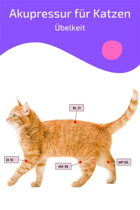 Acupressure Chart Acupuncture Charts Acupuncture Points Acupressure