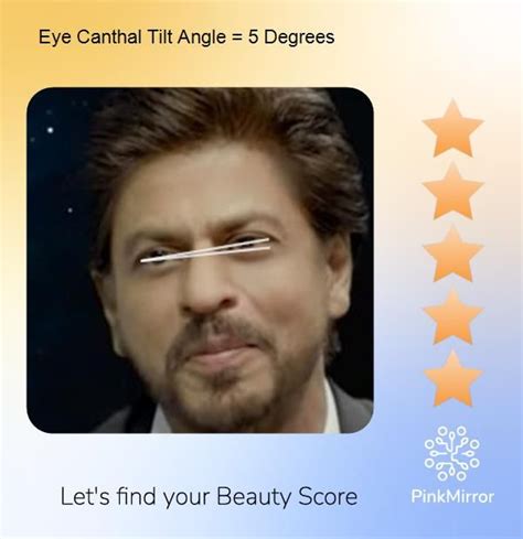 Known as the King of Bollywood, Shah Rukh Khan scored high marks on his ...