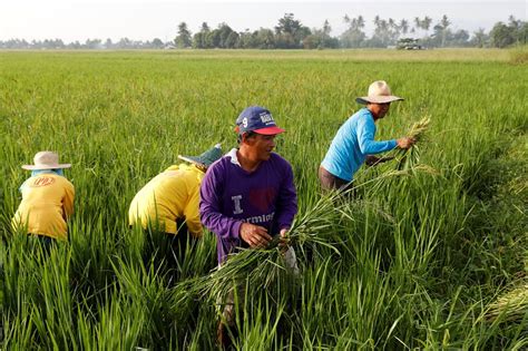 karapatan ng mga magsasaka sa pilipinas