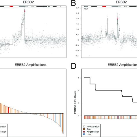 Egfr Copy Number Alterations Mrna Expression And Protein Expression