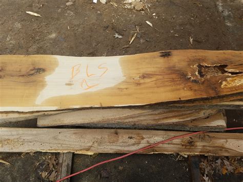 Black Locust Slabs — The Mbc Woodshop Inc