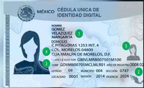 Cédula Única De Identidad Personal Cédula Profesional 2025