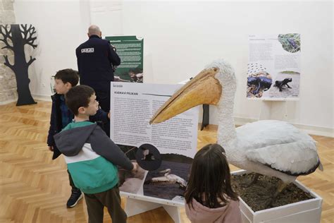 U Muzeju Hercegovine u Trebinju otvorena izložba na kojoj je eksponate