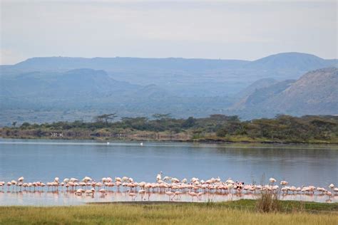 Safari de acampada de 4 días en jeep 4x4 por Maasai Mara y el lago