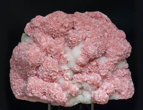 Rhodochrosite With Quartz Boldut Mine Cavnic Mining Area Cavnic