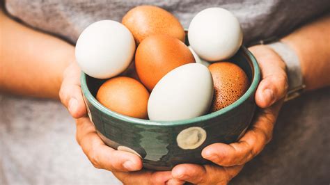 Is Eating Too Much Eggs Bad For Health Healthy