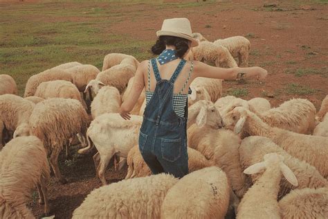 Ki U T C Hot Nh T Trong C C Ki U Nh Du L Ch C A Con G I Vi T B Y Gi