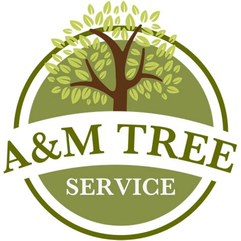 Affordable Tree Service Llc Reviews Houston Tx Angi