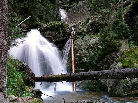 Bavaria- Bavarian Forest National Park | National parks, Bavarian ...