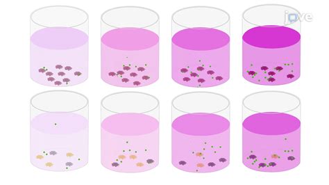 Methyl Thiazolyl Tetrazolium Or Mtt Assay A Colorimetric Assay To