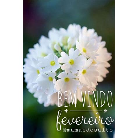 Fevereiro Seja Bem Vindo - 9