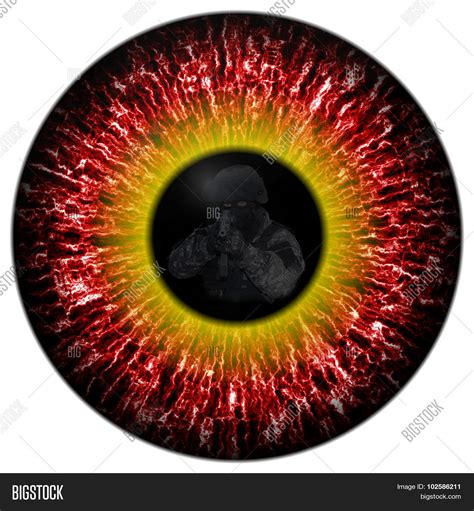 Zombie Eyes Reflection Image And Photo Free Trial Bigstock