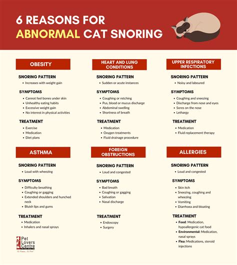 Cat Snoring: Reasons and Treatment Options [+ Vet Advice]
