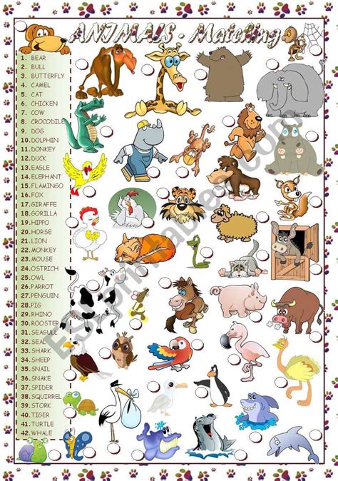 Animals Matching Esl Worksheet By Mariaolimpia