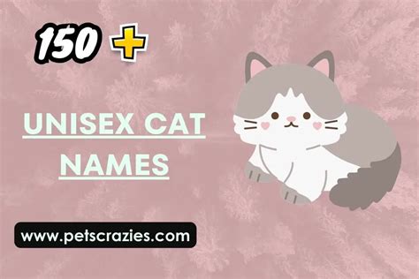 150+ Unisex Cat Names - The Perfect Fit for Any Kitty