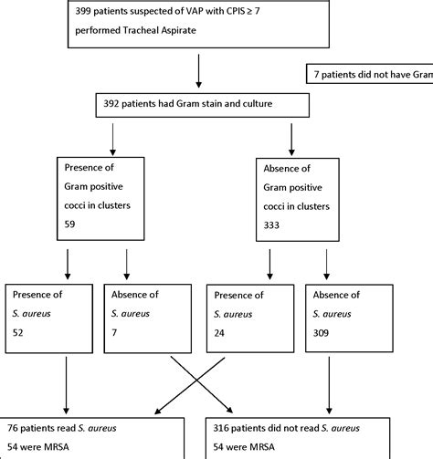 Figure 1 from Accuracy of Tracheal Aspirate Gram Stain to predict ...