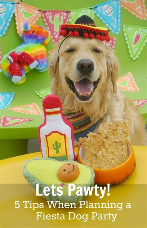 Lets Pawty 5 Tips When Planning A Fiesta Dog Party Golden Woofs