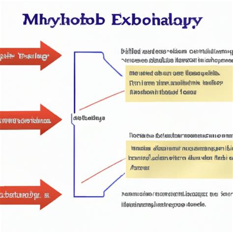 Examining How Exercise Affects Metabolism | Understanding the Science ...