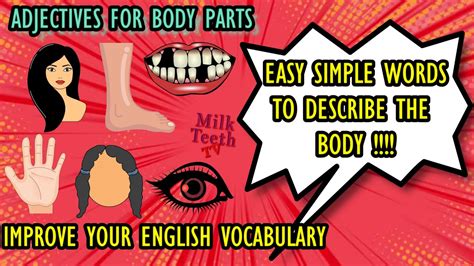 Adjectives For Body Parts Describing Words For Parts Of The Body