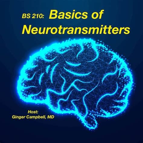 Basics of Neurotransmitters (BS 210) — Brain Science